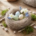 Natuurlijk knutselmateriaal palmvezels, wit gewassen, 1 kg Palmyra palm voor decoratie en knutselen | Floristik24.nl