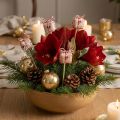 Bloemplug Kerstcadeaupakket decoratie 2,5cm 15 st | Floristik24.nl