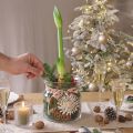Decoratieve glazen vaas lantaarn glas helder Ø18cm H20cm | Floristik24.nl