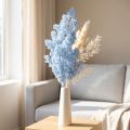 Lichtblauwe veerasperge decoratieve asperge droogbloemen 55-70cm | Floristik24.nl