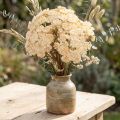 Duizendblad kunstcrème Achillea kunstbloemen 30cm 6 stuks | Floristik24.nl