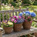 Bloemenmand Wilgenmand Handvat Natuurlijk 29/23/21cm Set van 3 | Floristik24.nl