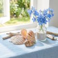Schelp decoratie zeeslak naturel 350g × 3st | Floristik24.nl