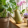 Gieter voor binnen, olijfgroen, retrostijl, 24,5 cm, 1,8 l, design gieter, kunststof, planten water geven | Floristik24.nl