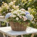 Plantenmand, shabby chic, natuurlijk wit, H14cm Ø30cm met handgrepen, vintage decor | Floristik24.nl
