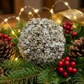Kerstdecoratie Kerstbal witte sneeuwbal Ø10cm | Floristik24.nl