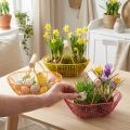 Draadmandje met houten handvat. Praktisch ontwerp. Ideaal voor lentedecoratie, thuis en op kantoor. 17 cm, 6 stuks. | Floristik24.nl