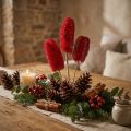 Luffa groot op stokje rood 25 st | Floristik24.nl
