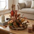 Gedroogde exotische Protea-kegels Bellgum 24–48 cm 580 g - Kunstbloemdecoratie Zuid-Afrika | Floristik24.nl