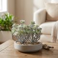 Vetkruid Kunstmatige Vetplanten Kunstplanten 16cm 4 st. | Floristik24.nl