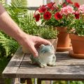 Kikkerfiguurtje, zomerdecoratie van keramiek voor huis en balkon, 12 cm | Floristik24.nl