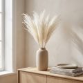 Gedroogde bloemen, zilvergras. Elegante natuurlijke decoratie voor thuis en op kantoor. 70 cm, 10 stuks. | Floristik24.nl