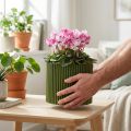 Plantenbak papier donkergroen bloempot Ø19cm H14cm 3 st | Floristik24.nl