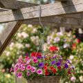 Metalen haak, dubbele haak zilver M L30cm 5st | Floristik24.nl