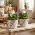 Decoratieve pot gewit berken plantenpot Ø18cm H15cm 2st | Floristik24.nl