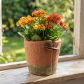 Betonnen bloempot plantenbak terracotta pot Ø13cm H13cm | Floristik24.nl