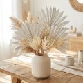 Palmspear Sun mini witgekalkt 50 st | Floristik24.nl