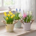 Bloempot, metalen pot met handvatten, decoratieve plantenbak, roze/groen/geel, shabby chic, Ø12cm, H10cm, set van 3 | Floristik24.nl