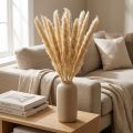 Gedroogde pampasgras bloemen decoratieve takken voor huis- en tafeldecoratie | Floristik24.nl