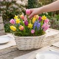 Chipsmand, wilgentenen mand, witgewassen, naturel, 29×18×14cm | Floristik24.nl