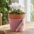 Vilten lint, potlint tweekleurig oudroze/grijs 15cm 5m | Floristik24.nl