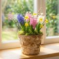 Ronde plantenbak, natuurlijke decoratie, boomschors, berkenpot, Ø12cm H10cm, 5 stuks | Floristik24.nl