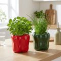 Paprika keramische plantenpot
