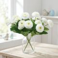 Bellisbund wit 24cm 2st | Floristik24.nl
