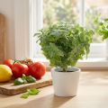 Mint kunstgroen 25cm 12 st | Floristik24.nl