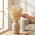 Gedroogd grasvlas gedroogd natuurlijk gebleekt 50-55cm 180g | Floristik24.nl