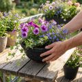Biolit plantenbak zwart Ø35cm milieuvriendelijke bloemenbak | Floristik24.nl