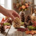 Dennenappels Pinus Dennenappels crème gemengd 5-18cm 25 st | Floristik24.nl