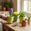 Papieren cachepot, plantenbak, pot voor opplant blauw/groen Ø13cm H12.5cm 4st | Floristik24.nl