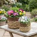 Rieten Mand Naturel Rieten Plantenschaal Naturel L30/22cm H20/17cm Set van 2 | Floristik24.nl