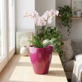 Orchideepot glanzend Ø12,5cm kers 1 st | Floristik24.nl