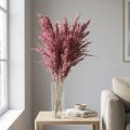 Gedroogd rietgras, gedroogd siergras, antieke roos, 75 cm, 10 stuks | Floristik24.nl