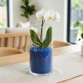 Gekleurd zand 0,5 mm donkerblauw 2 kg | Floristik24.nl