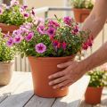 Pot “Irys” kunststof terracotta Ø29cm H24cm 1 st | Floristik24.nl