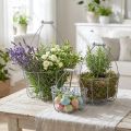 Draadmand met handvat, manden nostalgisch, metalen mand shabby chic, antiek look zilver, wit L35/30/25cm H46.5/35/25cm set van 3 | Floristik24.nl