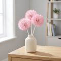 Grote gedroogde paardenbloemdecoratie, elegant woonaccessoire, 12 cm, 4 stuks | Floristik24.nl