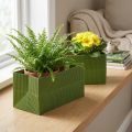 Bloemenbak Lang Geribd Groen Olijfgroen 24x12cm 6 st | Floristik24.nl