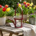 Lantaarn glazen decoratieve gieter metaal rood Ø14cm H13cm | Floristik24.nl