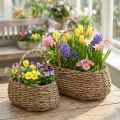 Plantenmand met handvat mand bloemenmand L23/35cm set van 2 | Floristik24.nl