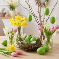 Kippeneieren 5,5cm - 7cm groen 10 st | Floristik24.nl