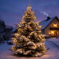 LED rijstlichtketting voor buiten 480 36m zwart/warm wit | Floristik24.nl