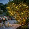 LED rijstlichtketting 360 27m warm wit voor buiten/binnen | Floristik24.nl
