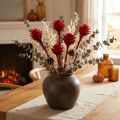 Plumosum 1 Rood 25 st | Floristik24.nl