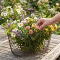 Draadmand ovaal met handvat 27x16,5cm H13,5cm bruin | Floristik24.nl