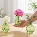 Kleine glazen vazen, bolvormige minivaasjes, groen, Ø7,5cm, H9cm, 6 stuks | Floristik24.nl