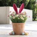 Decoratieve konijnenoren roze voor Pasen gevlokte staaf H56cm | Floristik24.nl